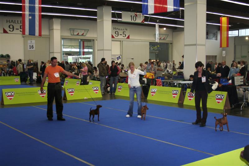 Schliessen von IMG_1040.jpg