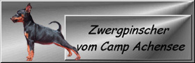 Von Camp Achensee